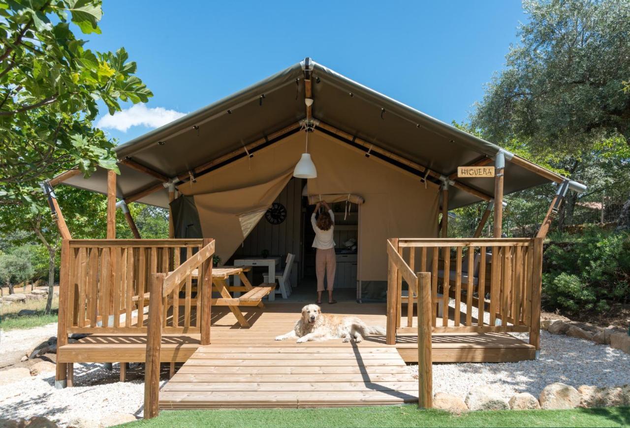 Veragua. Glamping y Apartamentos turísticos Villanueva De La Vera Exterior foto